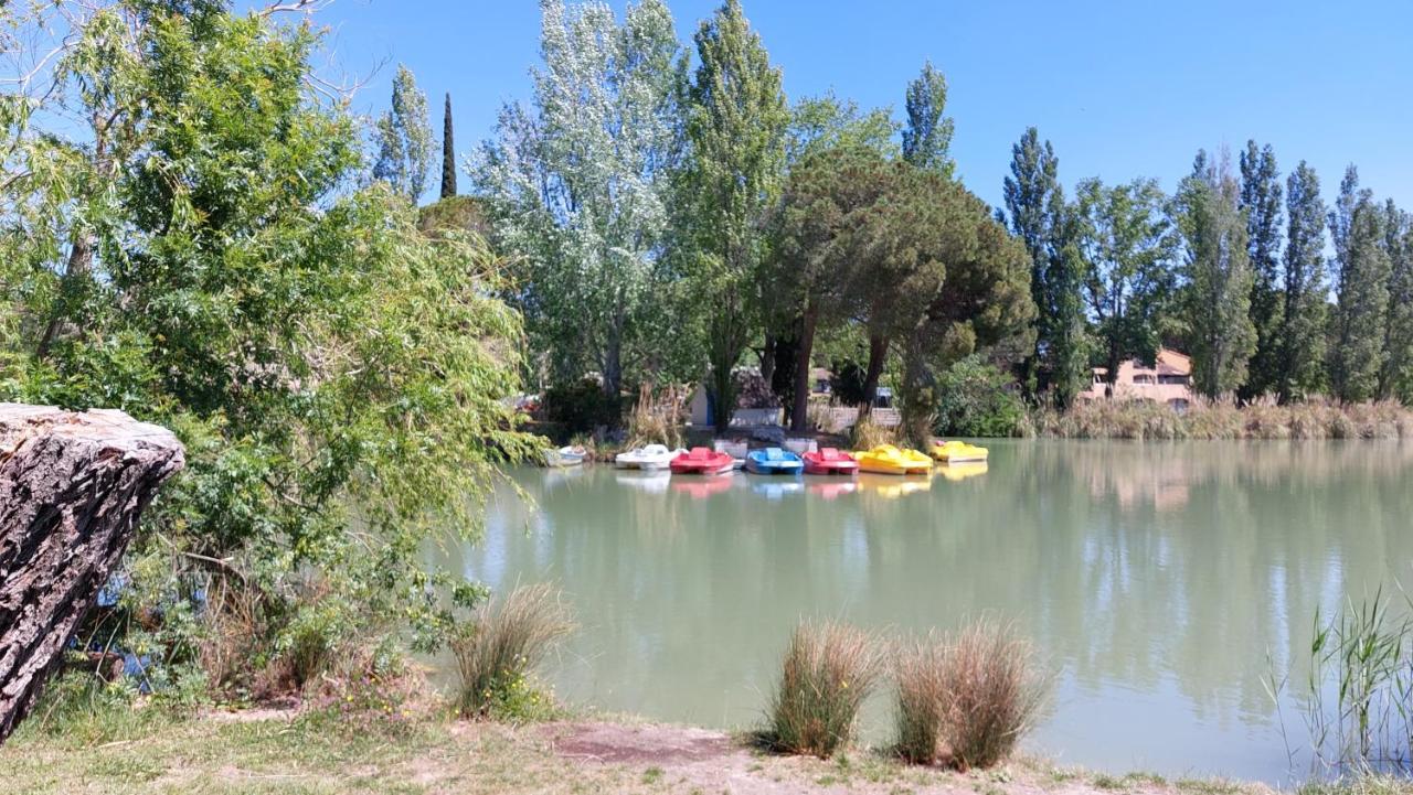 Aux Abords Du Lac