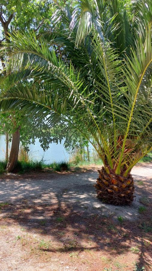 Apartment Aux Abords Du Lac